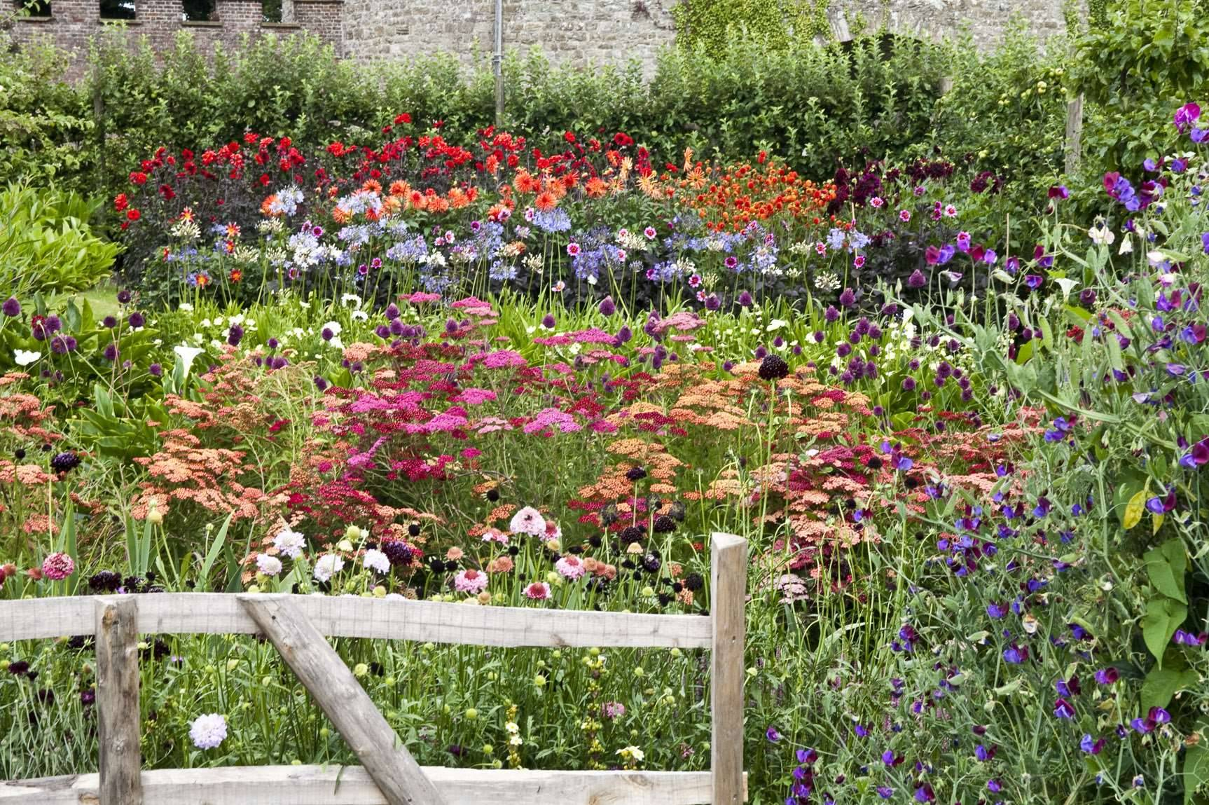 22 Cutting Flower Garden Ideas To Consider | Sharonsable for Small Space Big Blooms How to Plan a Cutting Garden in Tight Yards