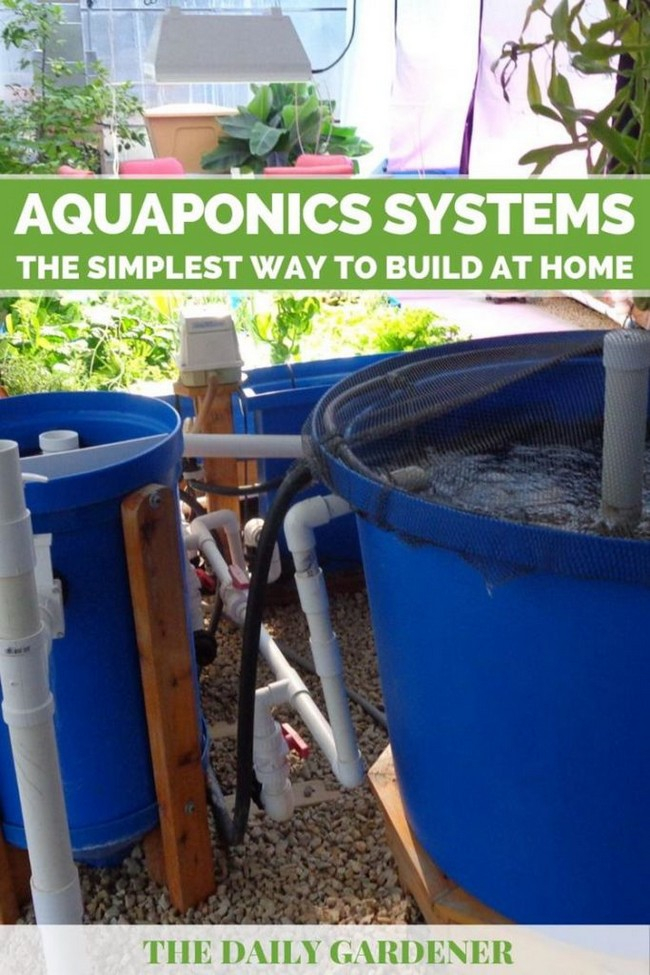 26 Diy Aquaponics System Ideas Indoor & Outdoor - Diyncrafty with How to Build a Thriving Aquaponics System on a Tight Budget in 2026