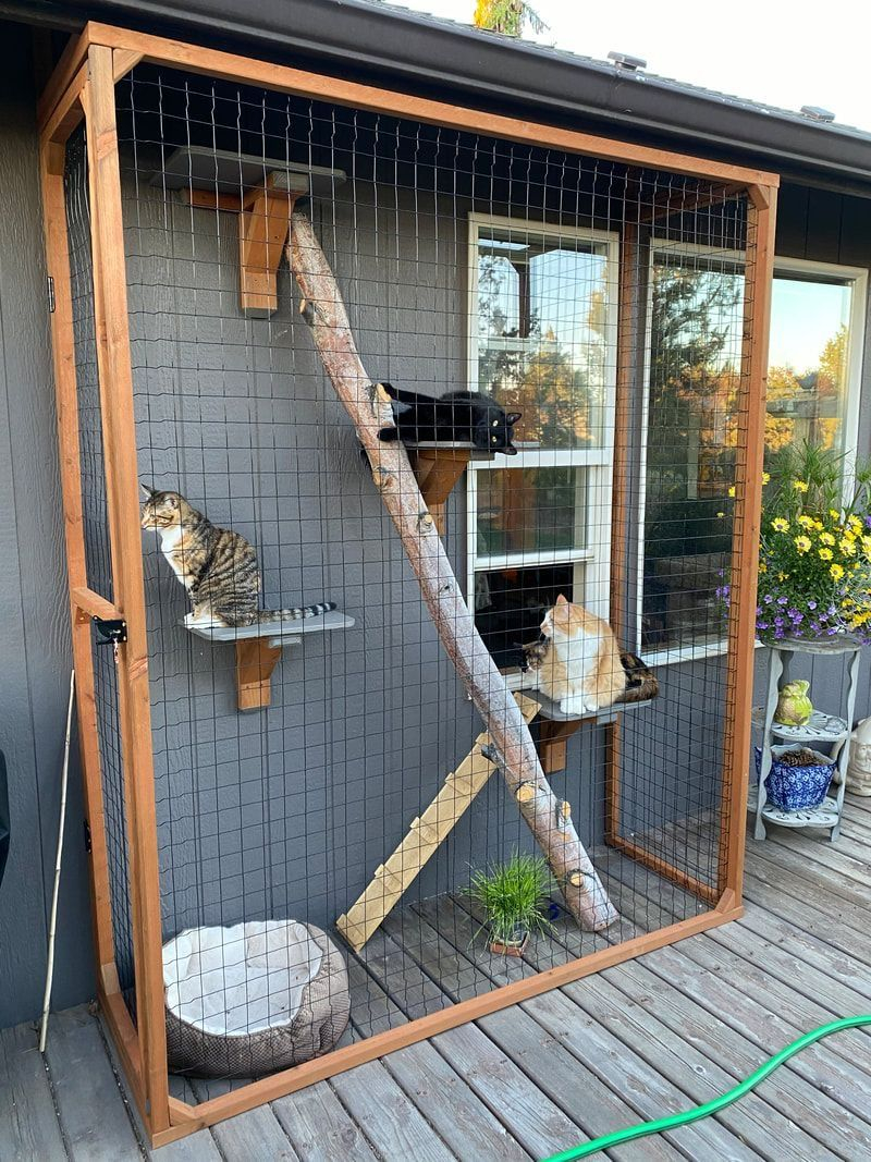 30 Free Diy Catio Plans And Ideas – Artofit intended for Transforming Your Window into a Gateway with Simple Catio Kits