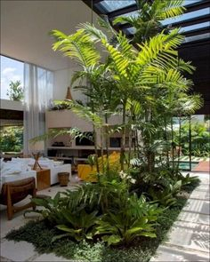 Why an indoor atrium garden is the ultimate wellness upgrade for your home