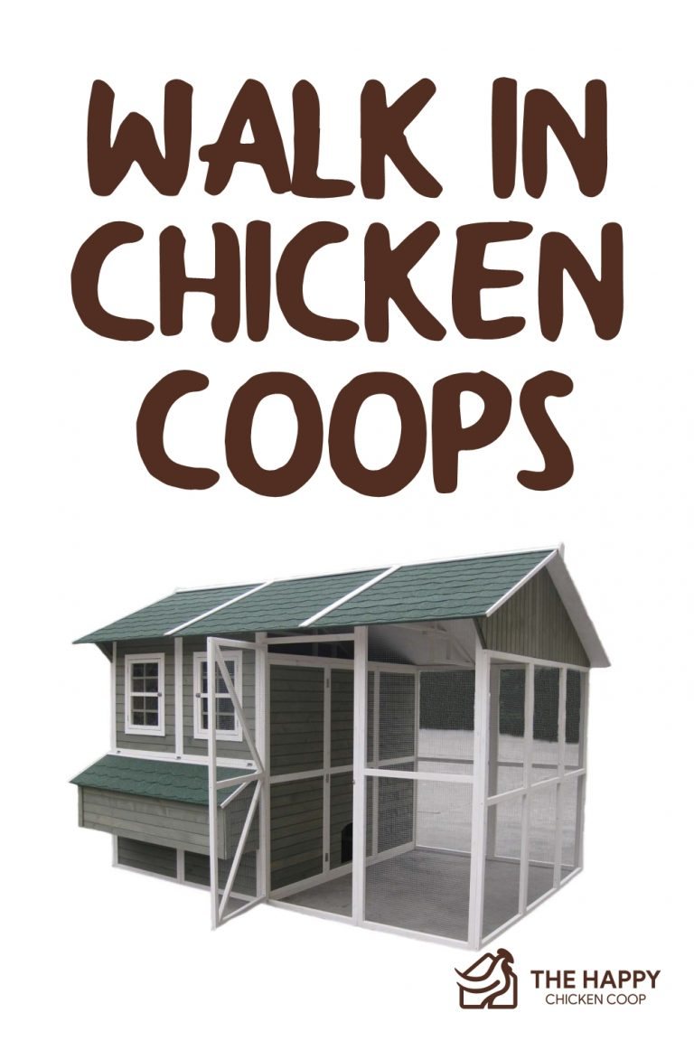 6 Beautiful Walk-In Chicken Coops - The Happy Chicken Coop with Chicken Coop Design Walk In