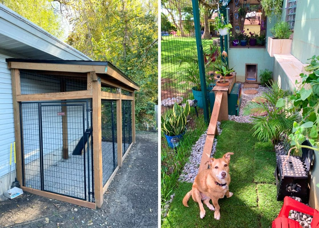 7 Diy Cheap Dog Run Ideas To Build In Your Backyard regarding Dog Kennel Design Outdoor Covered