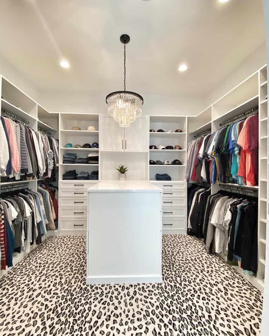 80 Modern & Classy Closet Design Ideas with Closet Lighting Automatic Switch