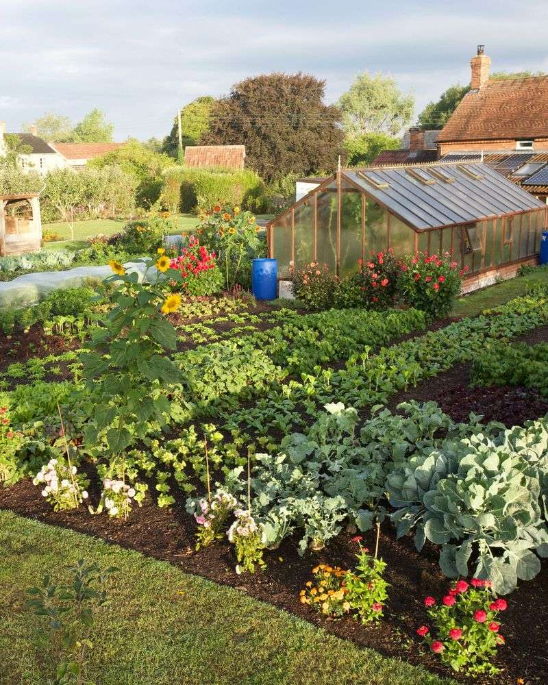 Beginner’s Guide To No-Dig Vegetable Beds - Complete Gardening for Stop Tilling and Start Layering for a Thriving No-Dig Garden