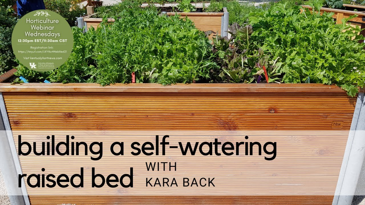 Building A Self Watering Raised Bed - Youtube regarding Wicking Bed Garden Design