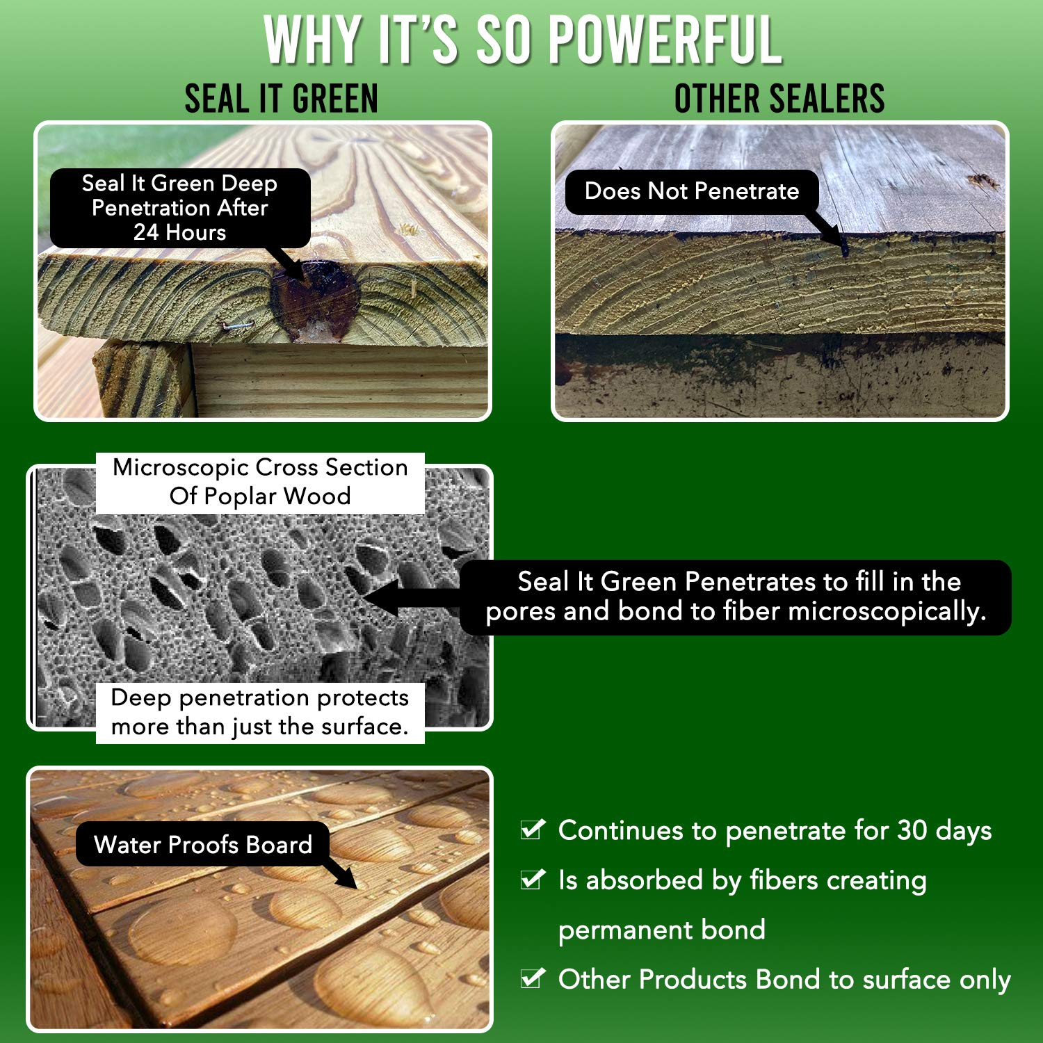 Buy Seal It Green Garden Box Sealer-Plant Based, Non-Toxic And Non ... within Linseed Oil Paint Exterior Wood