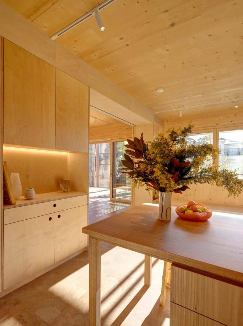 Canopy Clt House / Still Space Architecture within Why CLT Homes Are Redefining Sustainable Living in 2026