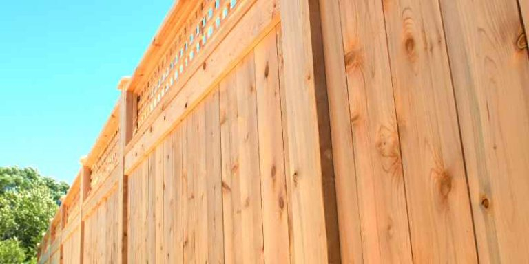 Cedar Vs Pressure Treated: Which Lasts Longer Outdoors? in Hammock Stand Design Wood