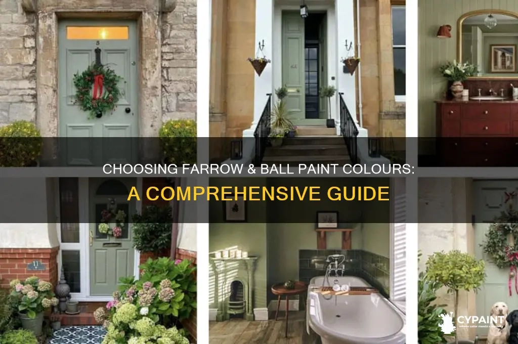 Choosing Farrow & Ball Paint Colours: A Comprehensive Guide | Cypaint intended for How to Choose the Right Farrow & Ball Finish for Your Specific Light Conditions