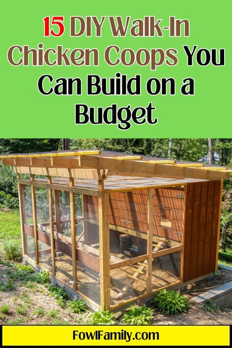 Create A Spacious Home For Your Flock With These 15 Diy Walk-In Chicken ... with regard to Why Your Back Needs a Walk In Chicken Coop More Than You Think in 2026