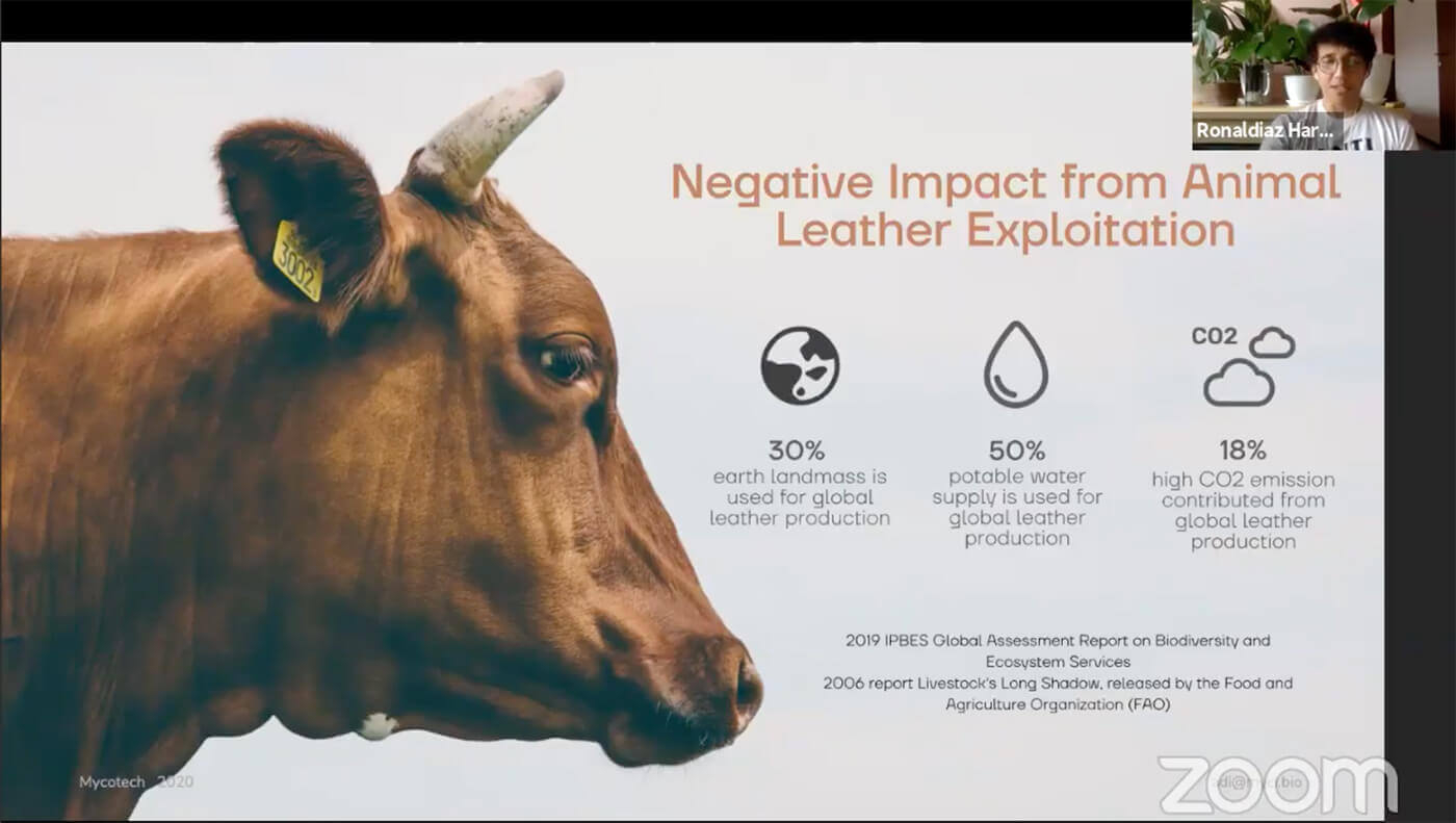 Creating A Sustainable Future For Manufacturing Through Vegan Leather ... in The Environmental Impact of Your Couch Leather vs Vegan Materials Explained