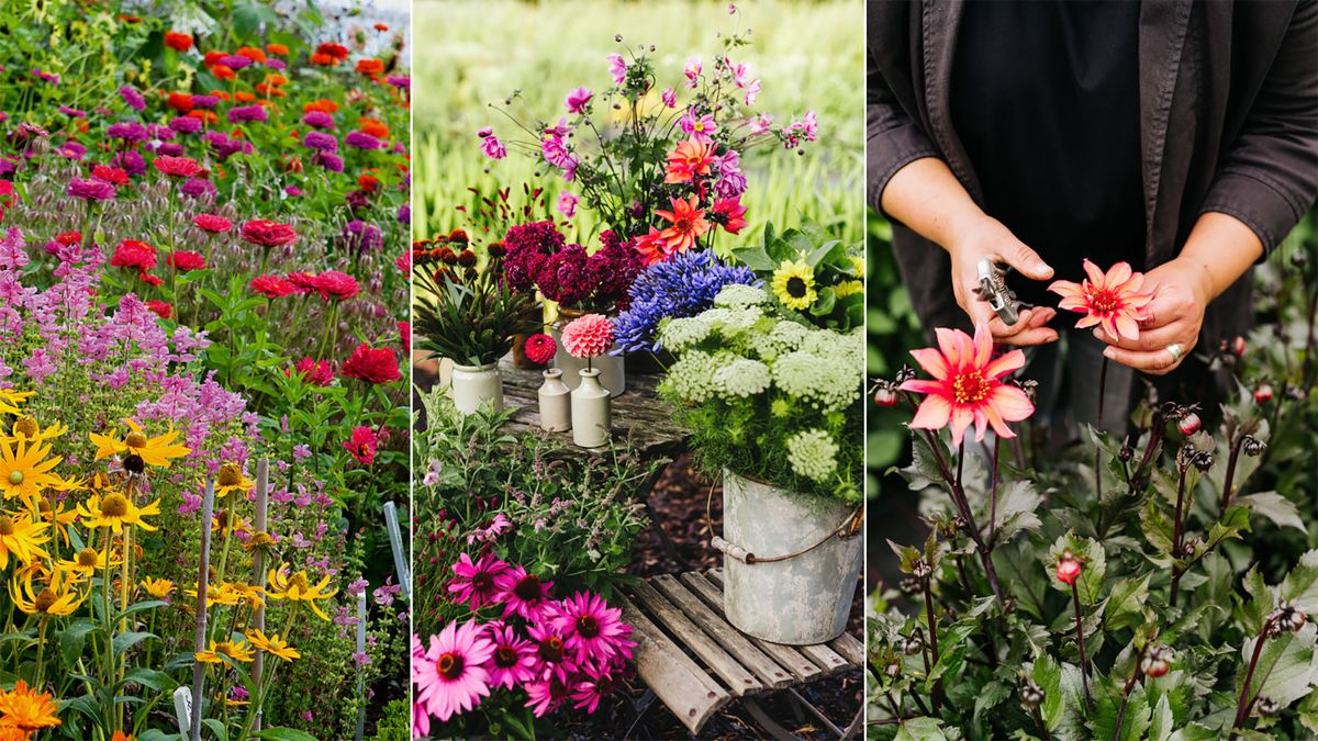 Cutting Flower Garden Ideas At Nick Mendoza Blog regarding Small Space Big Blooms How to Plan a Cutting Garden in Tight Yards