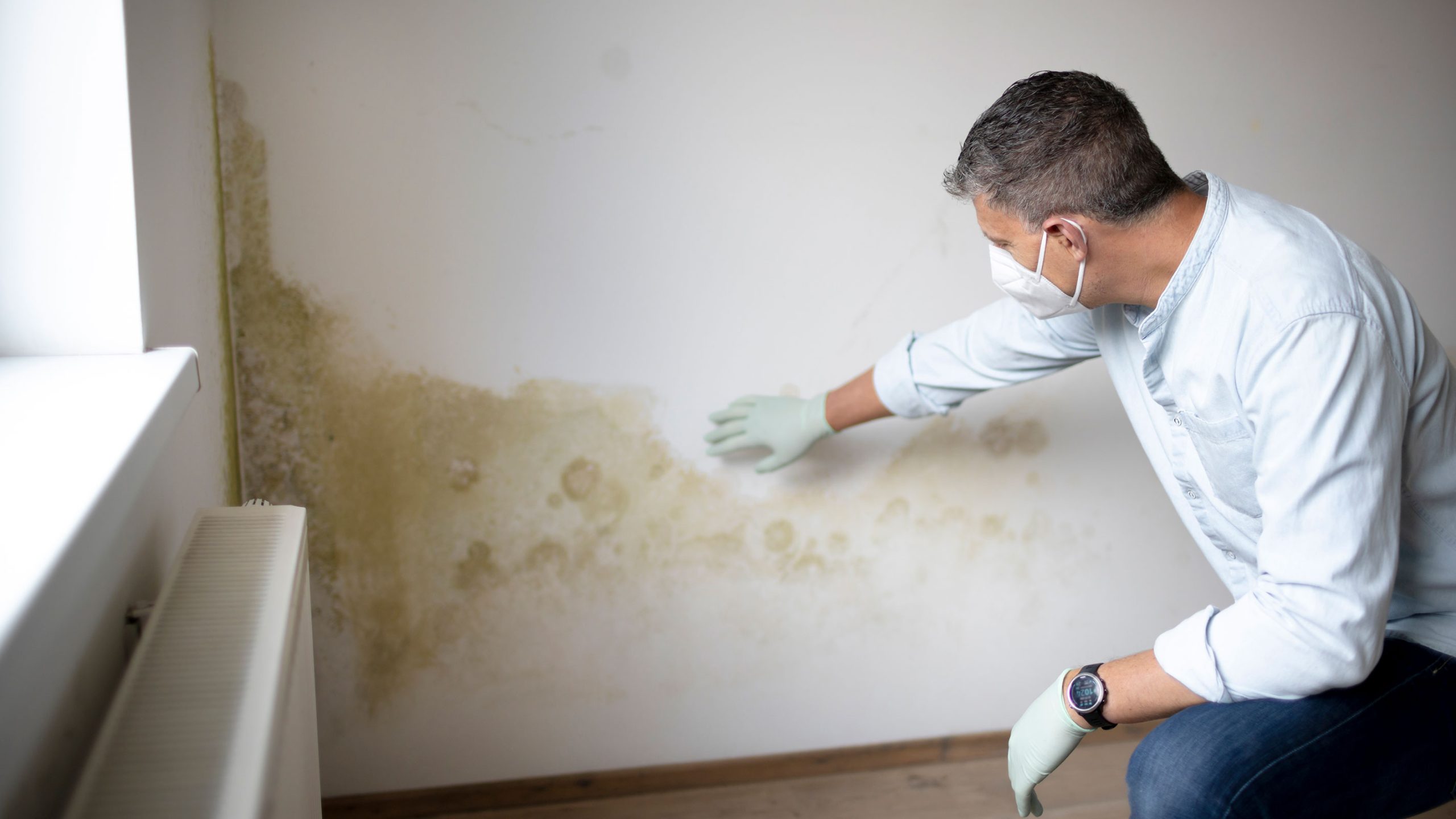 Damp: Your Complete Guide To Causes, Cures And Prevention | Homebuilding regarding Watch Box Display Case