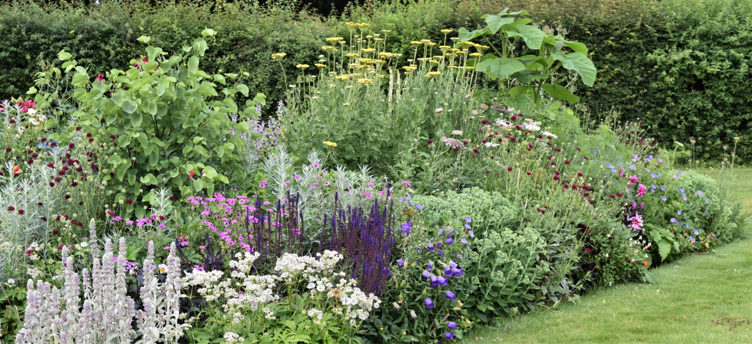 Dense Plantings For Wild Beauty - Fine Gardening for How to Plan Dense Planting Drifts for an Authentic Cottage Look