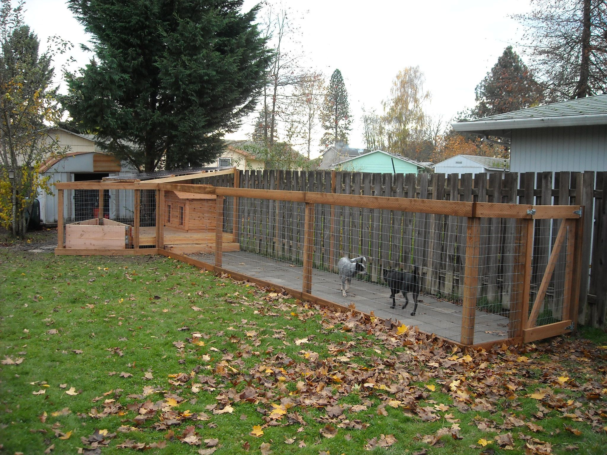 Dog Run - Completed With Dogs Added | Outdoor Dog Runs, Outdoor Dog ... for How to Build a Stylish and Secure Covered Dog Run for Your Backyard