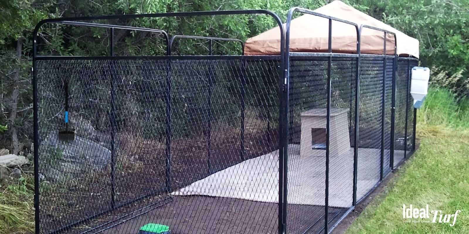 Dog Run Ideas: Definitive Guide To Backyard Dog Potty Areas throughout How to Build a Stylish and Secure Covered Dog Run for Your Backyard