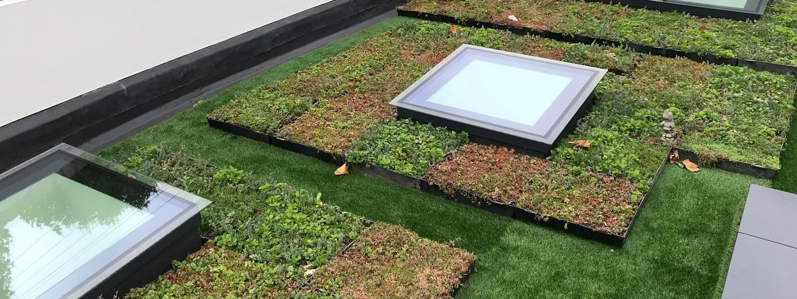 Extensive Or Intensive Green Roof – Which To Choose? throughout The Real Cost Difference Between Extensive and Intensive Green Roof Systems