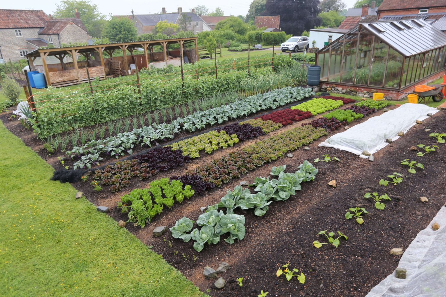 🌱 No Dig Gardening: The Secret Underground Method That Changed My ... pertaining to Lasagna Garden Method No Dig