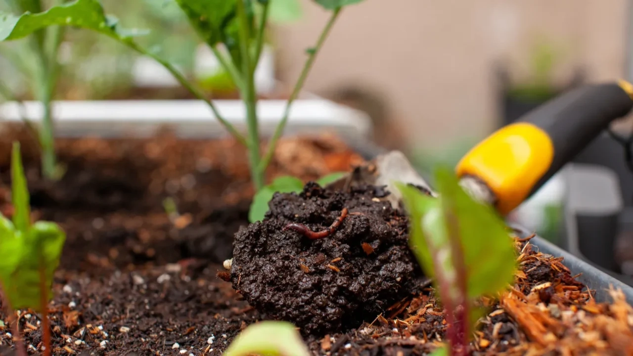 Gardening Hacks To Celebrate Every Season - Colormelon for Why Your Garden Craves Humanure and How to Make It Safely in 2026