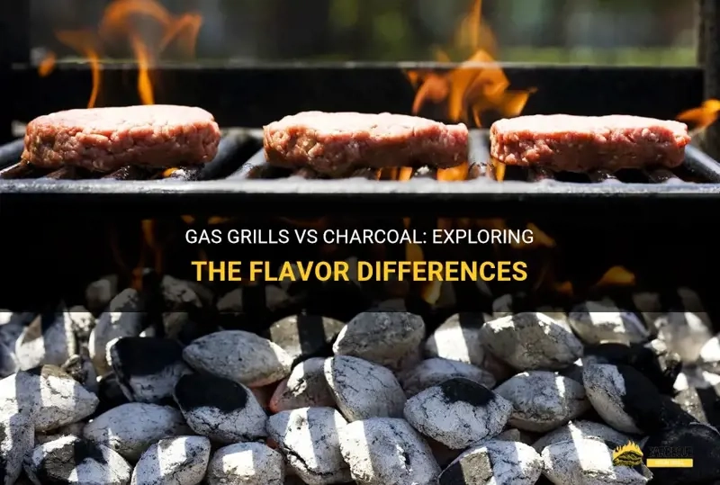 Gas Grills Vs Charcoal: Exploring The Flavor Differences | Shungrill in Gas Vs Charcoal Vs Pellet Grill
