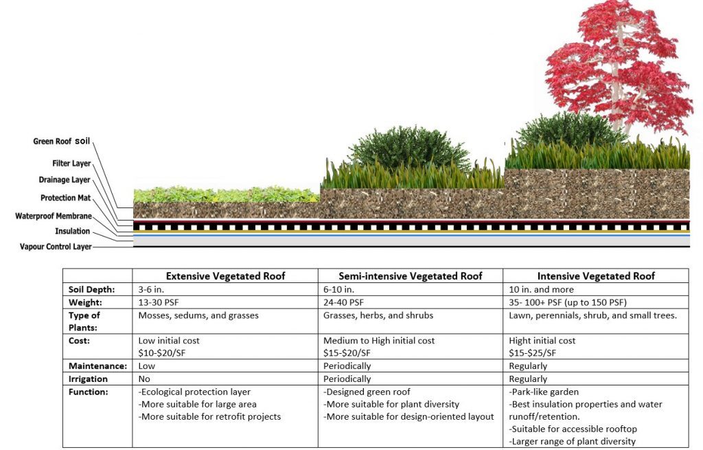 Green Roofs (All You Need To Know) - Climatebiz pertaining to The Real Cost Difference Between Extensive and Intensive Green Roof Systems