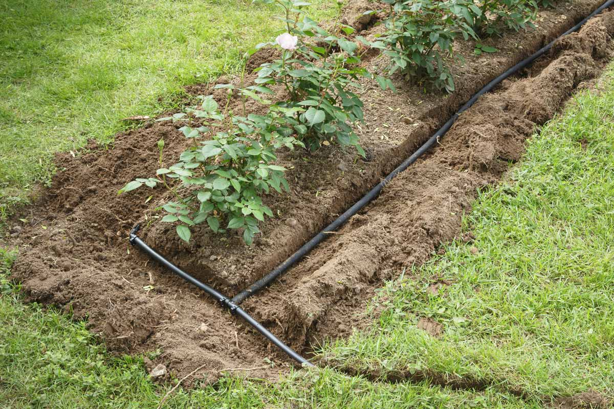 How Much Does A Drip Irrigation System Cost To Install? (2026) for Drip Irrigation Rainwater Tank