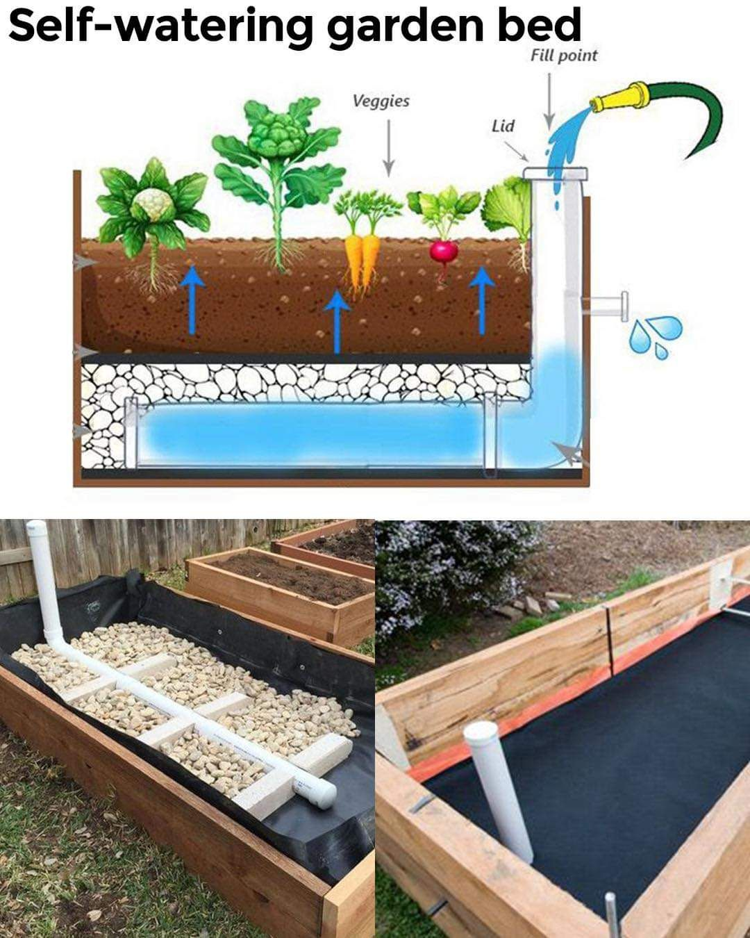 How To Build A Self Watering Raised Bed Part 2 Installing The ... in Build a Self-Watering Raised Bed That Mimics Nature’s Groundwater
