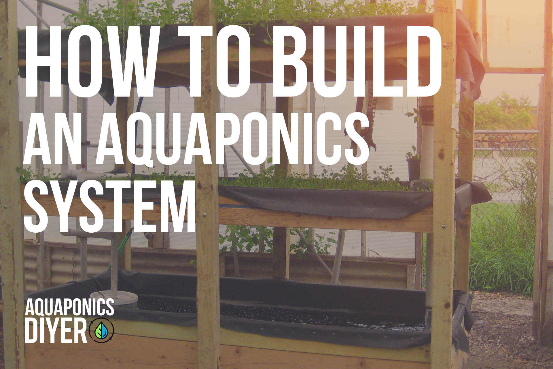How To Build An Aquaponics System The Aquaponics Guide regarding Aquaponics System Backyard