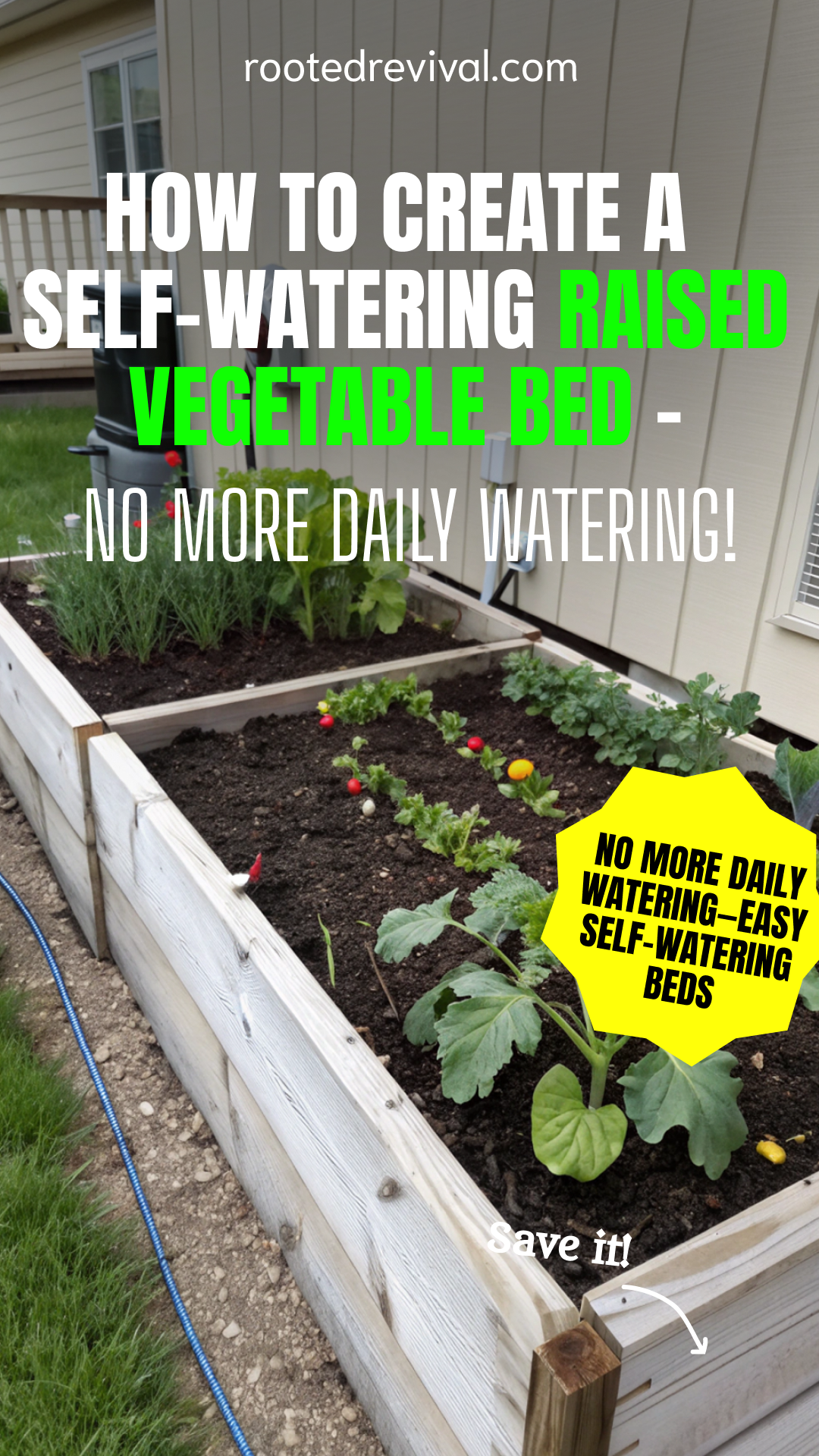 How To Create A Self-Watering Raised Vegetable Bed – No More Daily ... in Build a Self-Watering Raised Bed That Mimics Nature’s Groundwater