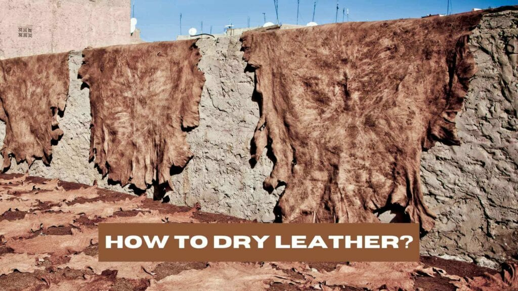 How To Dry Leather? (The Correct Way) with Aniline Leather Maintenance
