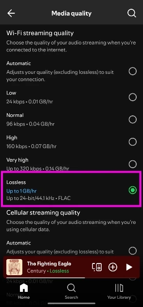 How To Enable Lossless Audio In Spotify regarding How to Set Up Your Home Network for Uninterrupted Lossless Music Streaming