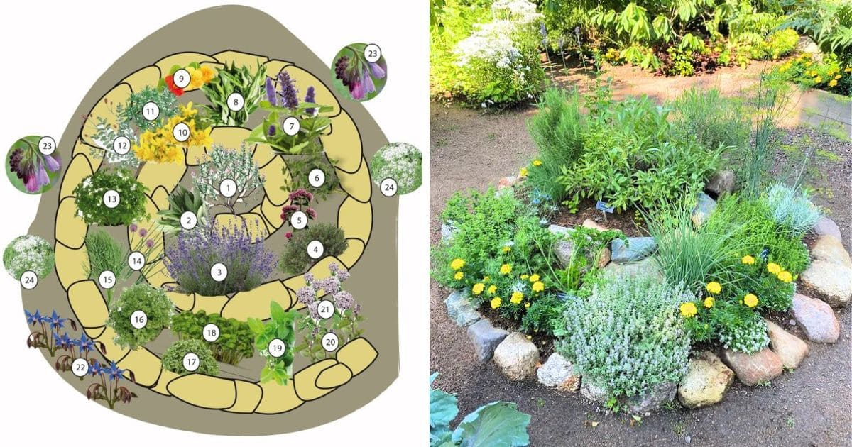 How To Grow A Herb Spiral For Maximum Space-Saving in Herb Spiral Garden Design