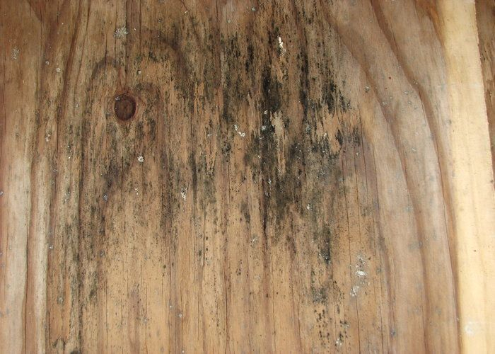 How To Remove Mold From Wood – Artofit regarding Linseed Oil Paint Exterior Wood