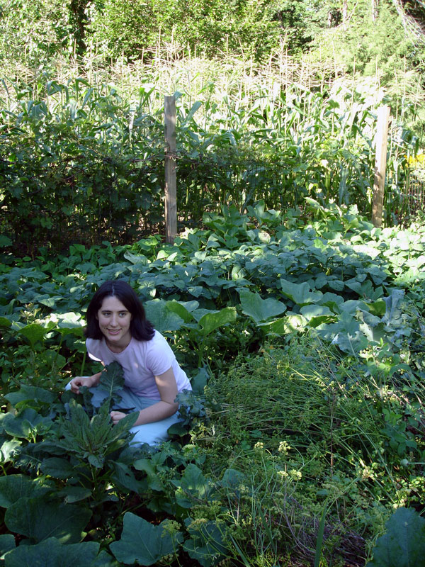 Humanure Composting Basic How-To Information with regard to Why Your Garden Craves Humanure and How to Make It Safely in 2026