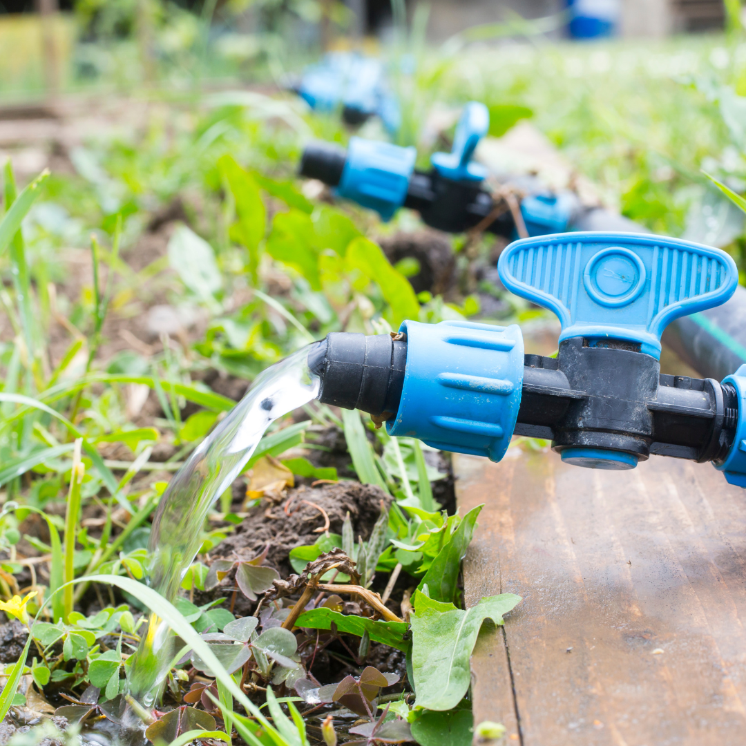 Install Drip Irrigation System The Key Role Of Design In Drip pertaining to The Real Cost of Installing a Rainwater Drip Irrigation System in 2026