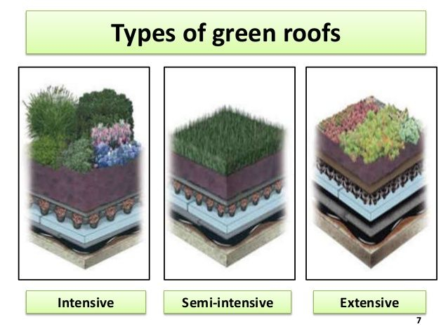 Intensive Vs Extensive Green Roof throughout Green Roof Extensive Vs Intensive