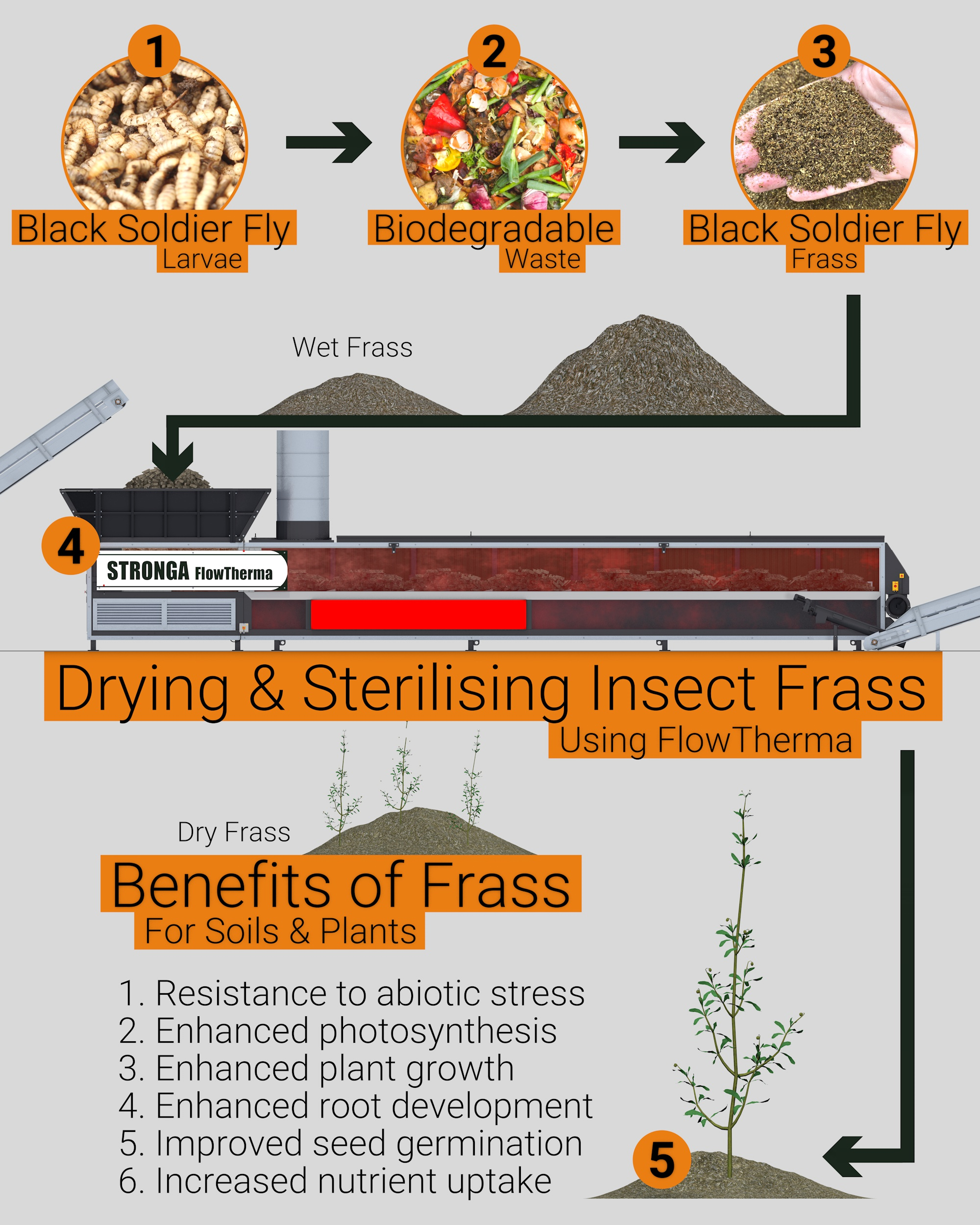 Is Black Soldier Fly Frass The Future Of Waste-To-Nutrient Fertiliser ... pertaining to Black Soldier Fly Larvae Compost