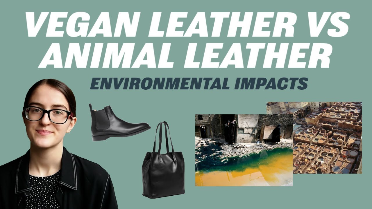 Is Vegan Leather Bad For The Environment At Kara Torres Blog with Leather Vs Vegan Leather Sofa