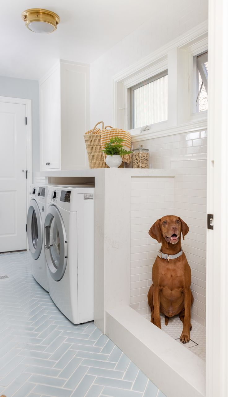Laundry Room Dog Shower – Artofit pertaining to Why 2026 Is the Year to Add a Dedicated Dog Shower to Your Laundry Space
