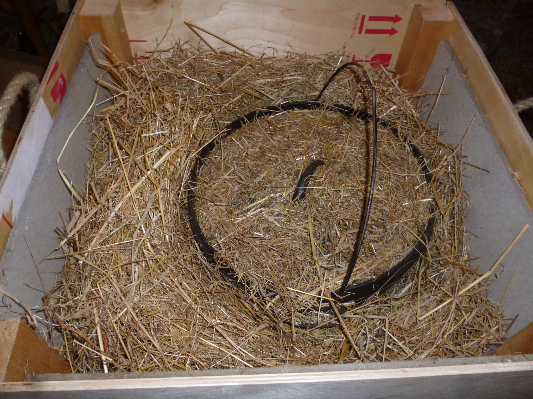 Making And Using A Hay Box To Cook In – Woodland Ways Blog – Bushcraft ... regarding Why Modern Kitchens Are Rediscovering the Hay Box Method