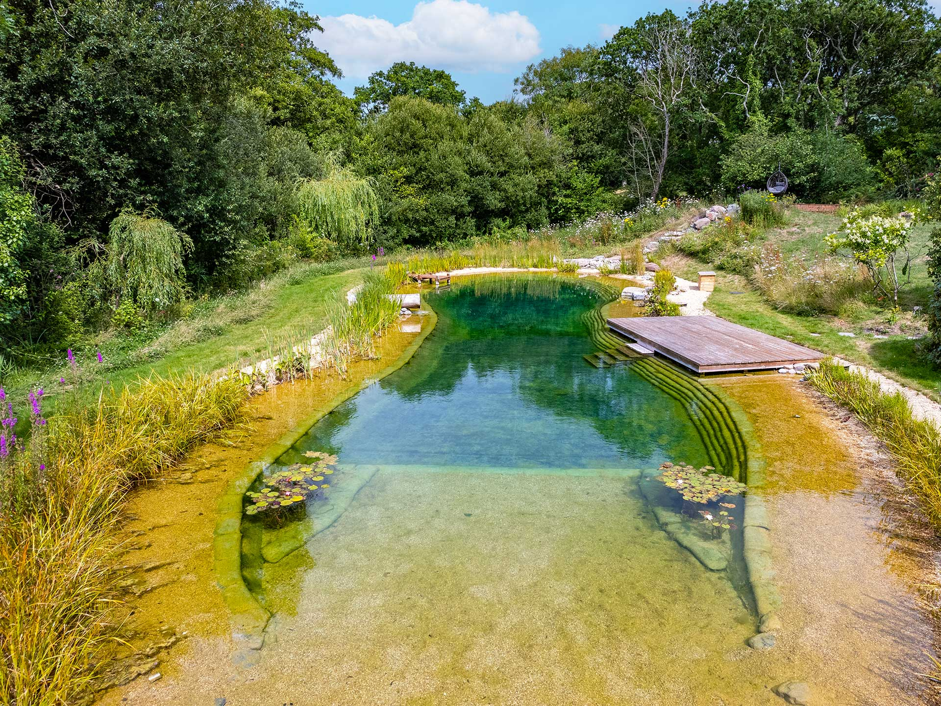Modern Natural Swimming Pool with regard to Swimming Pool Design Natural