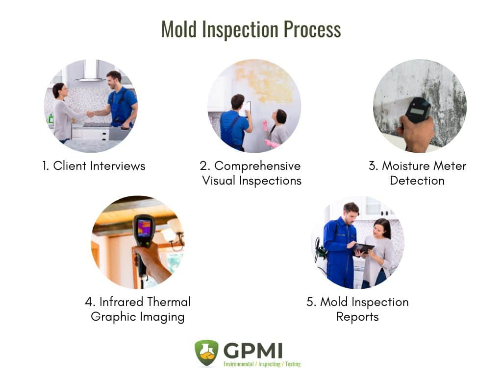 Mold Inspection Vs Mold Testing: Understanding The Key Differences with Understanding the Difference Between Standard and Mold Inspections