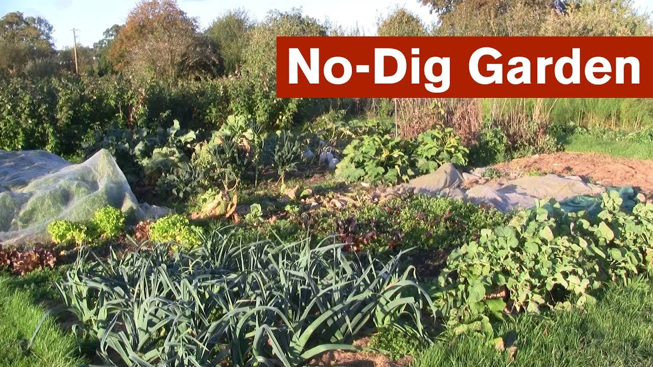 No-Dig Garden Introduction - Youtube inside Lasagna Garden Method No Dig