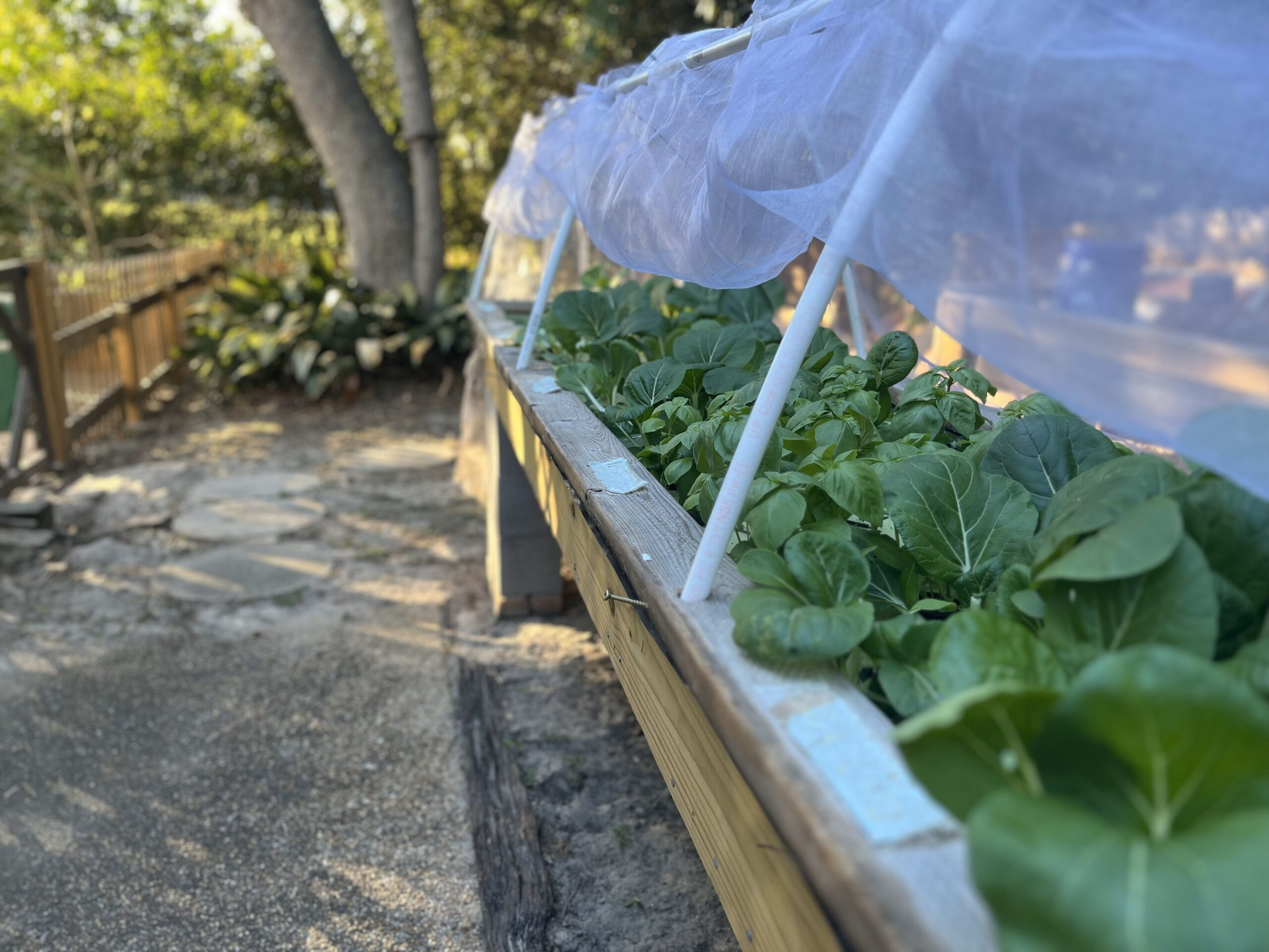Outdoor Hydroponic Setups for A beginner’s guide to winterizing outdoor hydroponic systems for harsh climates