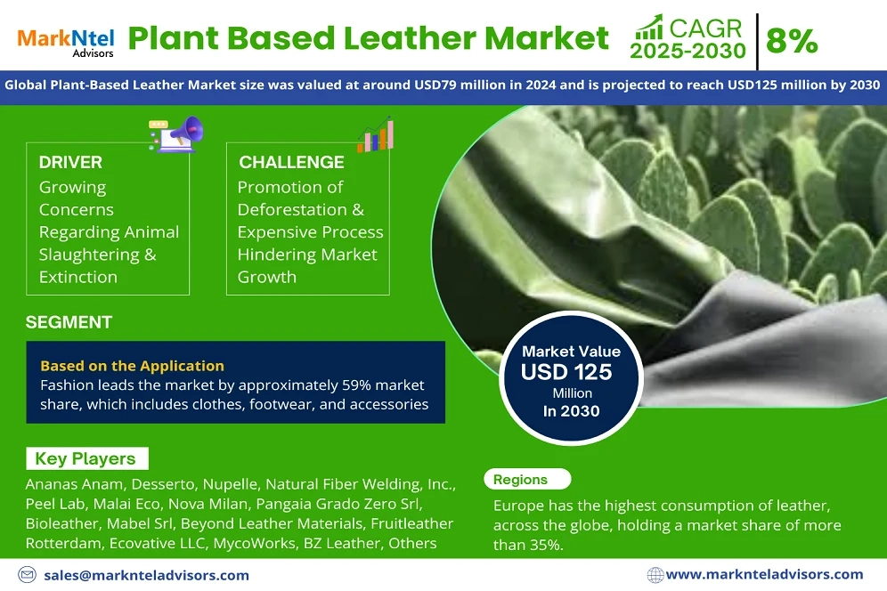 Plant-Based Leather Market Analysis & Forecast 2025-2030 pertaining to A Decade of Testing What I Learned About Plant Based Leather Longevity