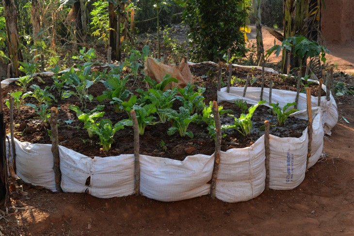 Planting A Keyhole Garden inside Lessons from Decades of African Keyhole Garden Innovation