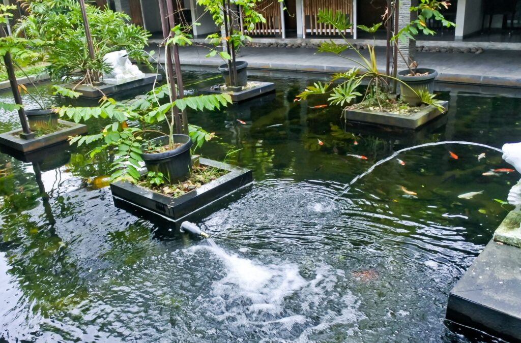 Pond Biological Filtration System Installation – Watercraft Engineering ... within Koi Pond Design Filter System