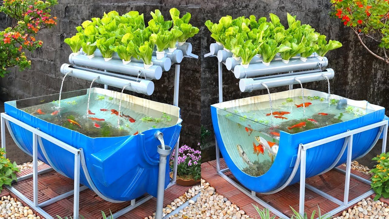 Recycle And Grow With Aquaponics intended for How to Build a Thriving Aquaponics System on a Tight Budget in 2026