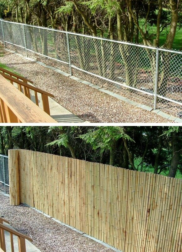 Reed For Chain Link Fences Bamboo Fence Rolls pertaining to Bamboo Fence Roll Privacy