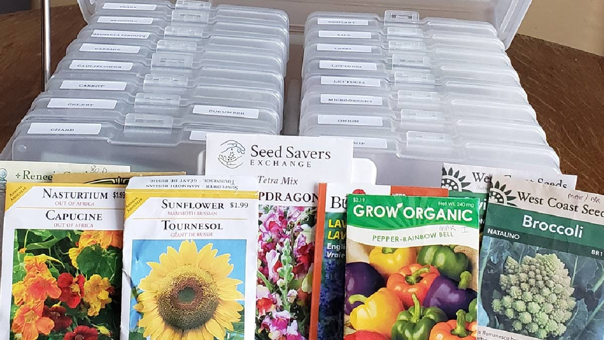 Seed Packet Storage Ideas with regard to Seed Packet Organization